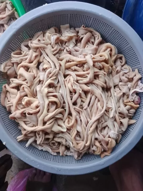 Usus
